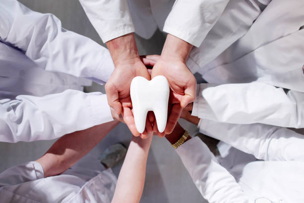 Hands of dentist holding a small tooth cutout together